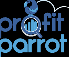 Grab the Top SEO Service | Profit Parrot