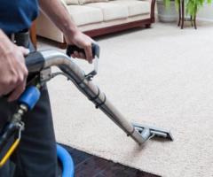 King Carpet Cleaning MA | Carpet Cleaning Services in Newton Highlands MA