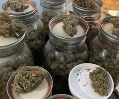 Buy weed Online USA  at https://jerrycannabisdispensary.net/