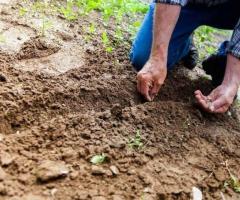 Brooklyn Soil | Soil Remediation in Brooklyn NY