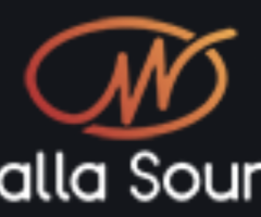 Walla Sound Speaker Review