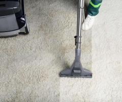 Walker Carpet Care & Cleaning Services, LLC | Carpet Cleaning Service in Norfolk VA