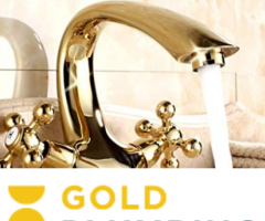 Premium Plumbing Services - Your Trusted Gold Standard