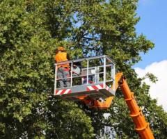 New View Tree Care, LLC | Tree Service in Mansfield CT