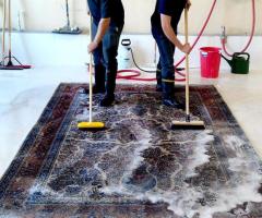 Pet Stain Removal Specialist Aventura