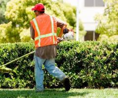 Jerry's Landscaping & Tree Service & Pool Service | Tree Service in Sylmar CA