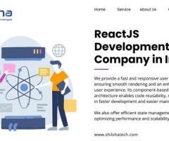 ReactJS Development Company in India