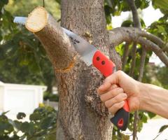 Sky View Tree Services | Tree Service in Riverdale GA