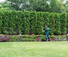 Green Effect Land & Tree | Tree Service in Midland NC
